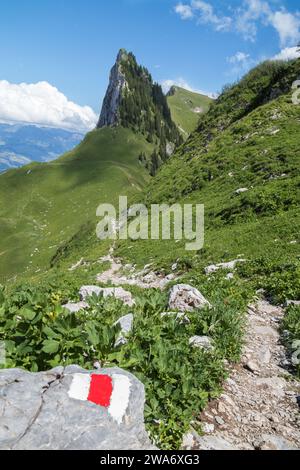 Stretti sentieri escursionistici con sentiero di ghiaia sulle Alpi svizzere, Stockhorn e Solhore Peak, contrassegnati da barre rosse e bianche come percorsi più impegnativi. Questi s Foto Stock