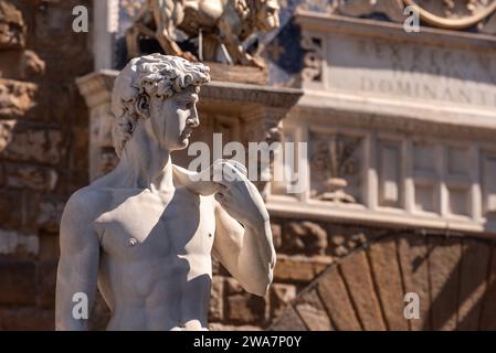 La famosa statua del David di Michelangelos in Piazza della Signoria a Firenze, Italia Foto Stock