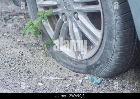 Ruota con pneumatico quasi piatto sul lato della strada. Foto Stock