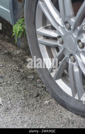 Ruota con pneumatico quasi piatto sul lato della strada. Foto Stock