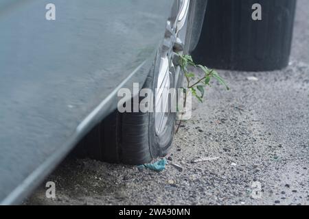 Ruota con pneumatico quasi piatto sul lato della strada. Foto Stock