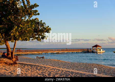 Vista della spiaggia con un albero che si affaccia su un lungo molo di legno e una barca in mare al tramonto, luce serale, spiaggia Dominicus, Bayahibe, pub dominicano Foto Stock