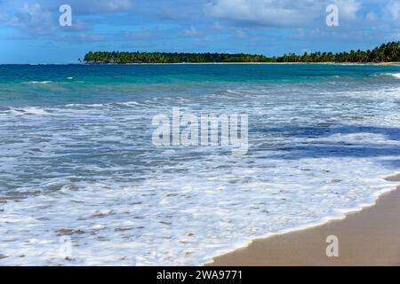 Onde schiumose che si snodano su una spiaggia soleggiata e sabbiosa con palme sullo sfondo, la spiaggia di Limon, El Limón, El Seibo, Repubblica Dominicana, Hispaniola, cari Foto Stock