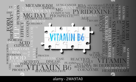 Vitamina b6 - un argomento complesso, correlato a molti concetti. Raffigurato come un puzzle e una nuvola di parole fatta di idee e frasi più importanti relative a vi Foto Stock