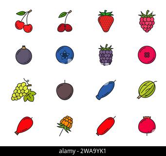 Icone delle linee di colore delle bacche crude. Ciliegia vettoriale isolata, fragola, lampone e ribes nero. Mirtillo, mora, mirtillo rosso o uva con bacche di miele, uva spina e mirtillo rosso, mirtillo rosso o rosa Illustrazione Vettoriale