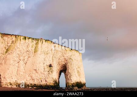 I caratteristici arcate e gli arcate marini nelle scogliere di gesso tra Botany Bay e Kingsgate Bay, sulla costa nord-orientale del Kent, nel sud-est dell'Inghilterra, nel Regno Unito Foto Stock