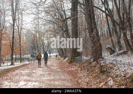 Vista posteriore delle persone che camminano attraverso il parco di Tivoli a Lubiana, mentre la prima neve di dicembre scende. Colori autunnali ancora visibili, soleggiati. Foto Stock
