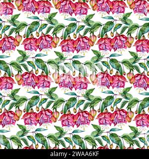 Fiori tropicali luminosi, fucsia. Illustrazione acquerello. Ripetizione senza cuciture. Foto Stock