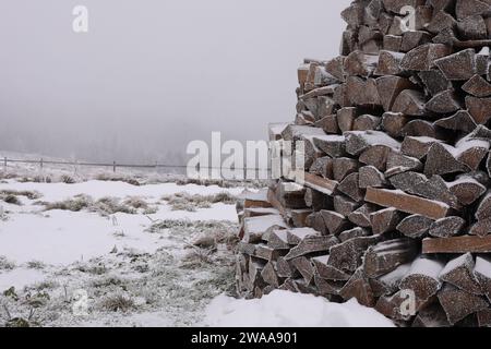 Pila di legna da ardere ricoperta di neve e di ghiaccio nella giornata invernale Foto Stock