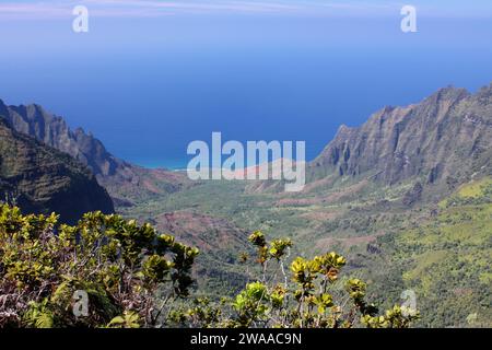 vista mozzafiato dell'oceano pacifico e della valle di kalalau dal sentiero pihea, kauai, hawaii Foto Stock