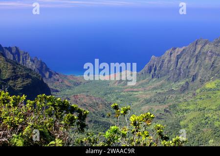 vista mozzafiato dell'oceano pacifico e della valle di kalalau dal sentiero pihea, kauai, hawaii Foto Stock