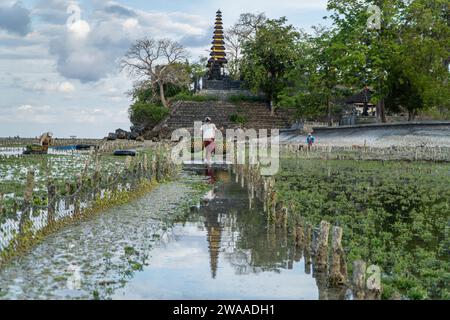 Nusa Penida, Bali-settembre 04 2021: Un agricoltore di alghe marine a Nusa Penida Bali sta raccogliendo le sue gabbie di alghe in un pomeriggio nuvoloso. L'erba è diventata la principale comun Foto Stock