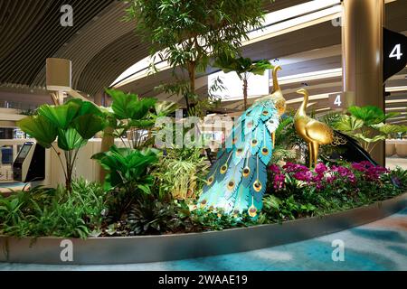 SINGAPORE - 6 NOVEMBRE 2023: Decorazioni in pavone a tema Deepavali all'Aeroporto Changi di Singapore. Foto Stock