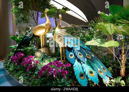 SINGAPORE - 6 NOVEMBRE 2023: Decorazioni in pavone a tema Deepavali all'Aeroporto Changi di Singapore. Foto Stock