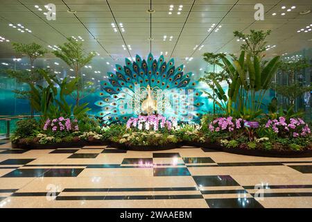 SINGAPORE - 6 NOVEMBRE 2023: Decorazioni in pavone a tema Deepavali al Terminal 3 dell'Aeroporto Changi di Singapore. Foto Stock