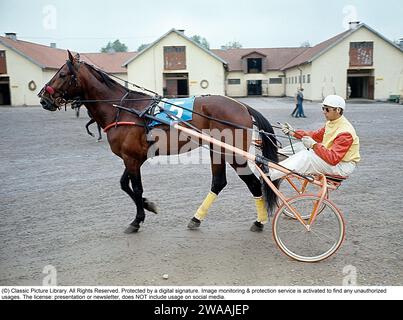 Olle Elfstrand. Allenatore svedese di trotting e fantino. Durante la sua carriera ha gestito l'impresa di vincere oltre 2000 gare come fantino. Qui, nel solco con il cavallo da trotto Lione che ha allenato per la maggior parte della sua carriera da corsa. Lione fu selezionato come cavallo dell'anno tre volte e divenne il primo cavallo da trotto nato in Svezia a raggiungere un milione di corone svedesi in montepremi. 1972 rif. BV9 Foto Stock