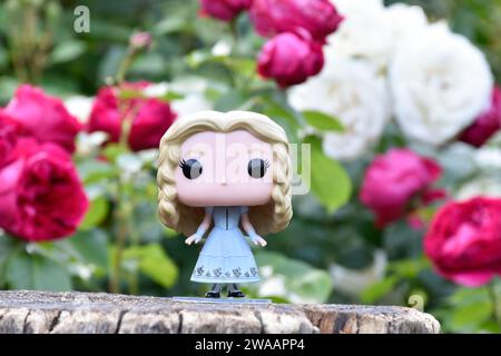 Funko Pop action figure di Alice nel Paese delle meraviglie del popolare film fantasy Tim Burton. Rose rosse e bianche, foglie verdi, giardino fiorito, ceppo di legno. Foto Stock