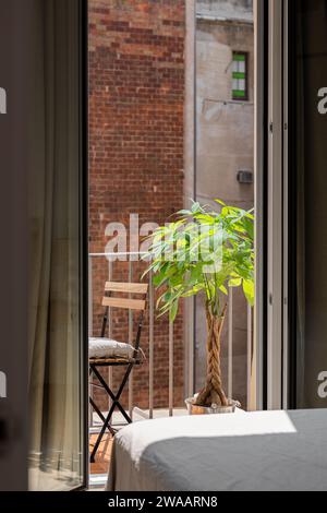 View of the open terrace from the living room with a chair and a palm tree on a sunny warm summer day against a background of a blurred brick wall Foto Stock