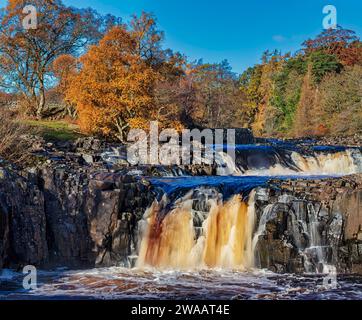 Vista diurna in condizioni di sole nell'autunno delle cascate Low Force a Teesdale, vicino a Bowlees, contea di Durham. Inghilterra, Regno Unito Foto Stock