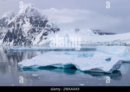 Ghiaccio, neve e brughiere vicino al canale di Lemaire ad Antartica. Foto Stock