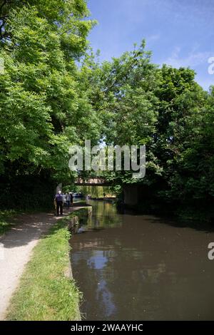 Regno Unito, Inghilterra, Hertfordshire, vicino a Rickmansworth, Grand Union Canal Passing Under Bridge Number 174 (Frogmore Lane) Foto Stock