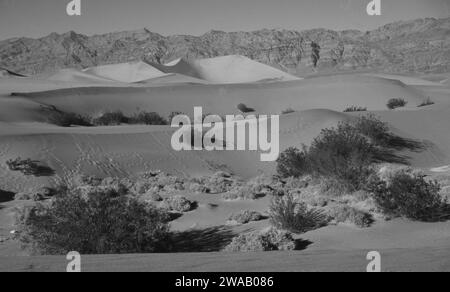 Nel deserto del Sinai: le dune di sabbia al Parco Nazionale di Nabq tra Sharm el Sheik e Dahab in Egitto Foto Stock