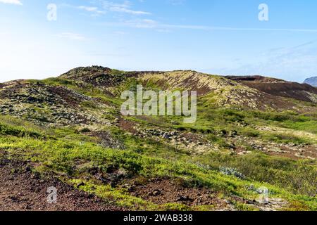 Paesaggio vulcanico verde mossy vicino al cratere Kerid lungo l'area del cerchio d'oro dell'Islanda Foto Stock