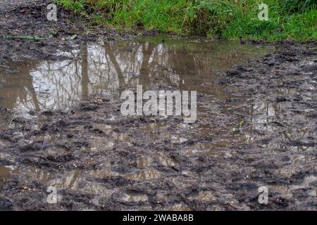 Dorney, Buckinghamshire, Regno Unito. 3 gennaio 2024. Un'inondazione a Dorney, nel Buckinghamshire, dopo Storm Henk. Credito: Maureen McLean/Alamy Live News Foto Stock