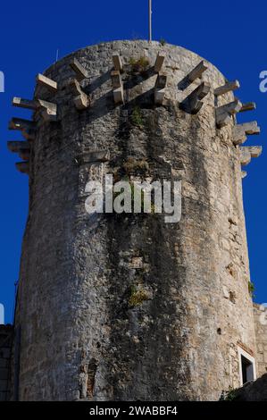 Piccola Torre del Governatore o Torre Lombardo, costruita nel 1400 d.C., a Korčula, nella contea di Dubrovnik-Neretva, Croazia. Lo stemma del Governatore Lombardo è scolpito sul lato della torre Foto Stock