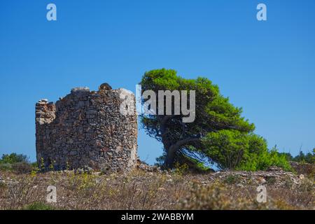 Gatto sulle rovine di un mulino in un'isola greca sotto il cielo blu Foto Stock