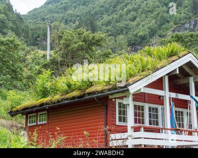 Un tetto sod, o tetto in erba sintetica, è un tradizionale tetto verde scandinavo a Geiranger, Norvegia. Foto Stock