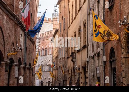 Bandiere di Contrade del quartiere Aquila-Eagle appese in una strada del centro di Siena, Italia Foto Stock