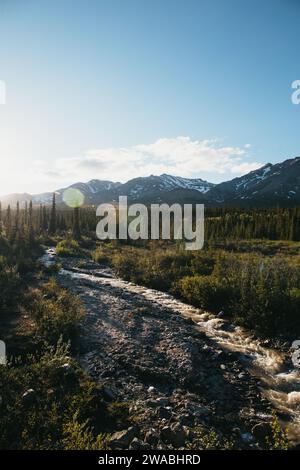 Fiume che scorre attraverso la natura selvaggia dell'Alaska con montagne e pini sullo sfondo al tramonto. Foto Stock