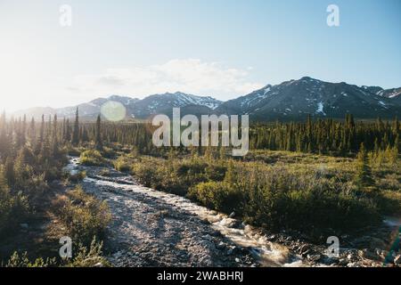 Fiume che scorre attraverso la natura selvaggia dell'Alaska con montagne e pini sullo sfondo al tramonto. Foto Stock