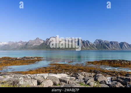 Bellezza serena delle isole Lofoten in Norvegia, che mostrano le limpide acque turchesi del Mare di Norvegia, in contrasto con le aspre vette Foto Stock