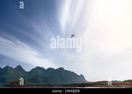 La luce del sole stride attraverso le nuvole, gettando un bagliore su un gabbiano solitario in volo sopra il terreno accidentato delle Isole Lofoten in Norvegia Foto Stock