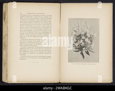 Bouquet di Bloemen, Adolphe Louis Donnadieu (possibile), c. 1891 - in o prima del 1901 stampa fotomeccanica prevenire nell'album 'The Photograph of Submerged Objects', 1901. Fiori tagliati di carta di Parigi; nosegay, mazzo di fiori Foto Stock