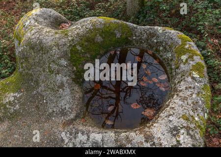 Roccia celtica, roccia con coppe sul sentiero roccioso. Dieffenthal, Bas-Rhin, Alsace, Grand Est, Francia, Europa. Foto Stock