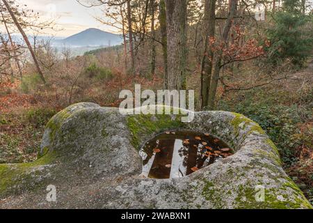 Roccia celtica, roccia con coppe sul sentiero roccioso. Dieffenthal, Bas-Rhin, Alsace, Grand Est, Francia, Europa. Foto Stock