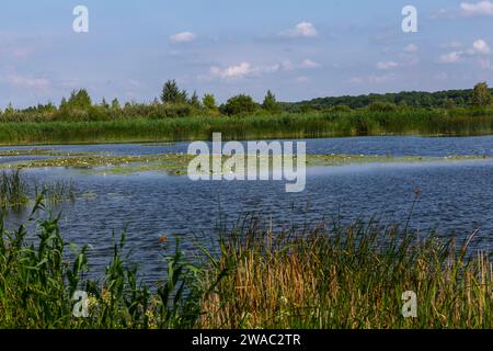 Vista del Lago Sacro del deserto di Mammoth sul territorio dell'ex St Monastero di Nicola nelle vicinanze del villaggio di Mamontovo, Sosnovs Foto Stock