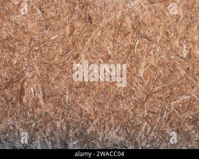 Strato di legno orientato (OSB, Oriented Strand Board). Il materiale è economico e utilizzato in cantiere. Schema astratto del legno compresso. Foto Stock