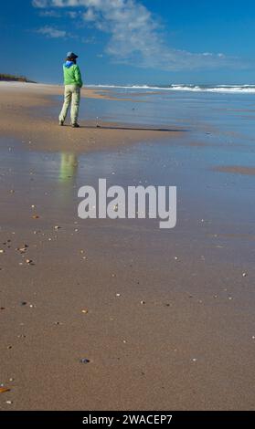 Spiaggia aperta, Canaveral National Seashore, Florida Foto Stock