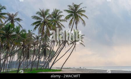 Splendida spiaggia di al haffa a salalah all'alba, in Oman, ufficialmente Sultanato dell'Oman. Foto Stock