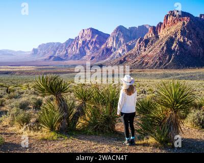 Escursionista che si affaccia al mattino, la Red Rock Canyon National Conservation area si trova a NevadaÕs Mojave Desert Morning, Las Vegas, Nevada, Stati Uniti Foto Stock