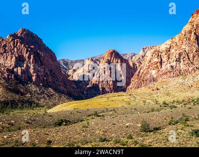 La Red Rock Canyon National Conservation area si trova a NevadaÕs Mojave Desert Morning, Las Vegas, Nevada, Stati Uniti Foto Stock