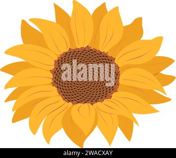 Icona girasole isolata su un'illustrazione vettoriale di sfondo trasparente. Simpatico fiore disegnato a mano. Illustrazione vettoriale Illustrazione Vettoriale