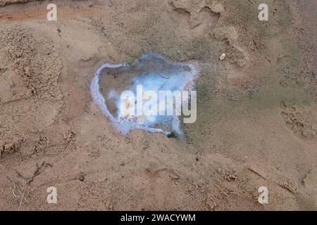 Una chiazza irridescente formata da batteri di ferro, comunemente presenti nelle zone umide di acqua dolce ricche di ferro. Lago Viljandi, Estonia. Foto Stock