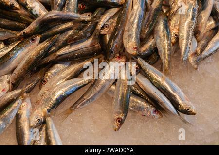 Piccolo pesce sul ghiaccio nella bancarella del mercato notturno italiano di Rialto Foto Stock