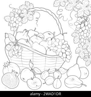 Frutta matura in un cestello illustrazione vettoriale in bianco e nero. uva, mele, pere, melograni. Pagina da colorare per bambini e adulti. Illustrazione Vettoriale
