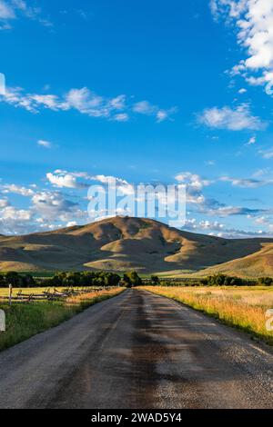 USA, Idaho, Bellevue, strada sterrata che conduce alle colline pedemontane la mattina d'estate Foto Stock